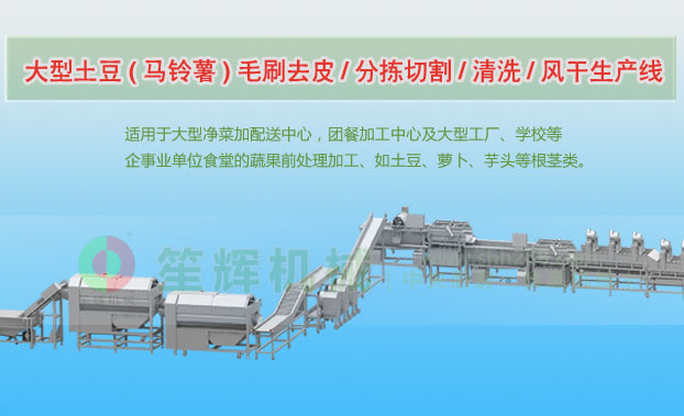 石灰窑连续式土豆去皮清洗切割风干生产线